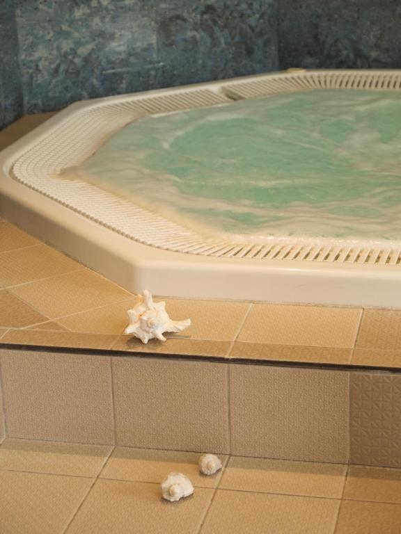 Wellness Jean De Carro Hotel 4*